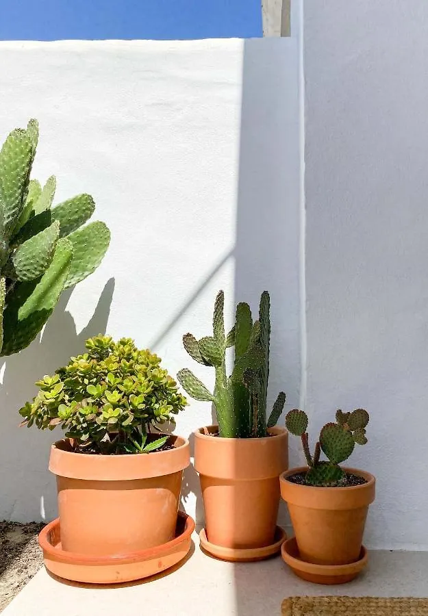 Holiday home Tarifa Cozy House - Luxurious Beach House